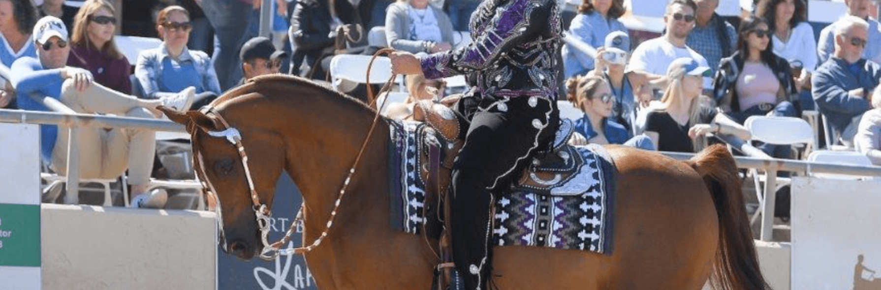 Scottsdale Arabian Horse Show