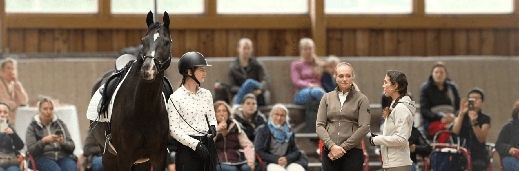 Vom Boden in den Sattel