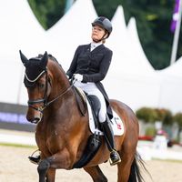 Valegro Majlund