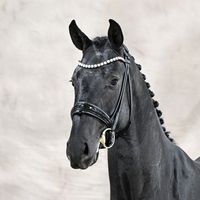 So Perfect / de Niro