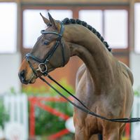 Møllegårdens Select