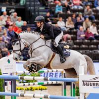 Colourful Rebel d'Or