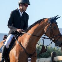 CROCUS LA SILLARDIERE