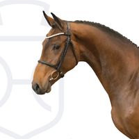 Magnus von der Söhr