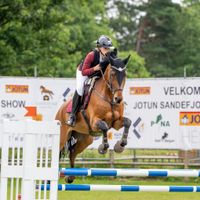 Donatello Della Caccia