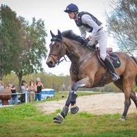 Carouzo Bois Marotin