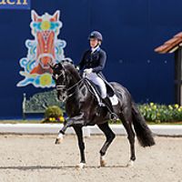 Blue Hors St. Schufro