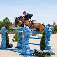 Chedington Hazy Toulana