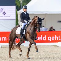 Atterupgaards Bernachi