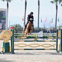 Khalicy de Mediterranee