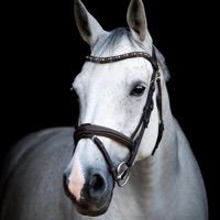 VERNIE DU COEUR DES COLLINES Z