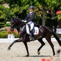 Forsazza de Malleret