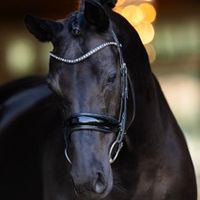 GHITA FILLE DE ZITA S