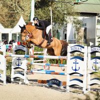 Quantico van de Padenborre