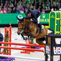 Baloubets Rose Dree Böken