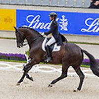 Meggle's Enzo's Erbe