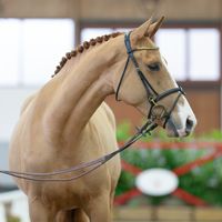 Brunello Di Montalcino Z