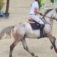 Think Twice van’t Lapbosch VR