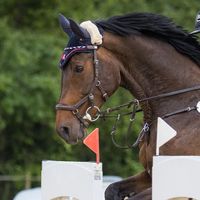 Dissey von Worrenberg