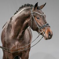 Vaderland / Fidertanz