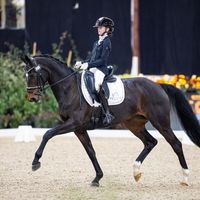 Ogami van het Beukenhof