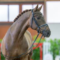 Dans Ton Coeur von Bellin