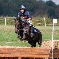 Gredington Mailthyme