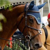 Don’t Worry vh Scheefkasteel Z