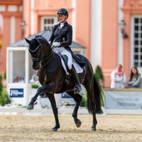 Most wanted Nero von Bellin