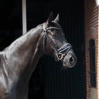 Black Velvet Just Do It