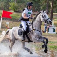 Fohlen von Coupe d’Or (OS) 