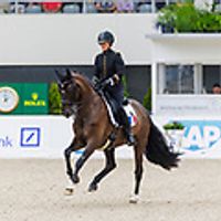 Sertorius de Rima Z Ifce