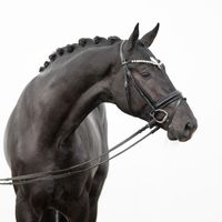 Louis Löwenherz von Bellin