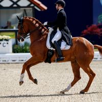 Quater Back Junior FRH