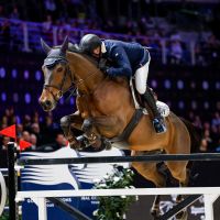 Equine America Unick du Francport