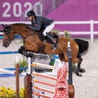 Igor van de Wittemoere