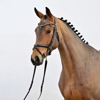 Tailormade Chicago Rouge PS