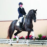 Sezuan´s Donnerhall