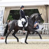 Zauberlehrling PS OLD