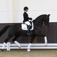 Future Jazz Dancer RV