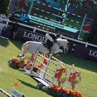 HORTENSIA VAN DE LEEUWERK