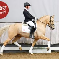 Pramwaldhof's My Favourit