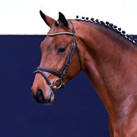 Mariendals Don Diamant