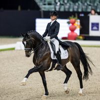 Torveslettens Titanium RS2