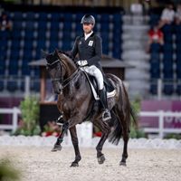 Intermezzo van het Meerdaalhof