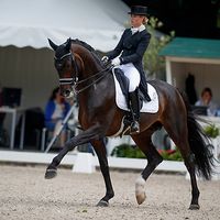 Sir Donnerhall Ii OLD