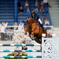 Castres van de Begijnakker Z