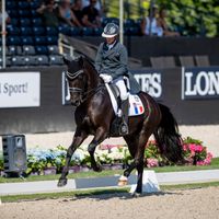 Gotilas du Feuillard