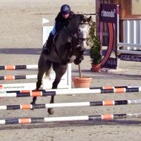 Nacapitol de Reve ZD