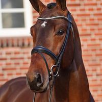 Diamant de Plaisir II